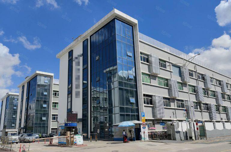 龙岗坪地低碳城花园式原房东楼上厂房2000平精装修办公室出租