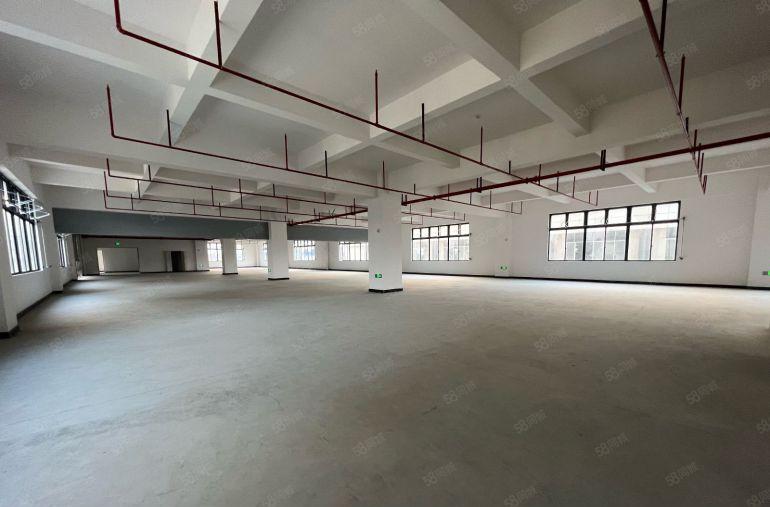 横岗荷坳整层2000平带消防喷淋，500平起分，不限行业