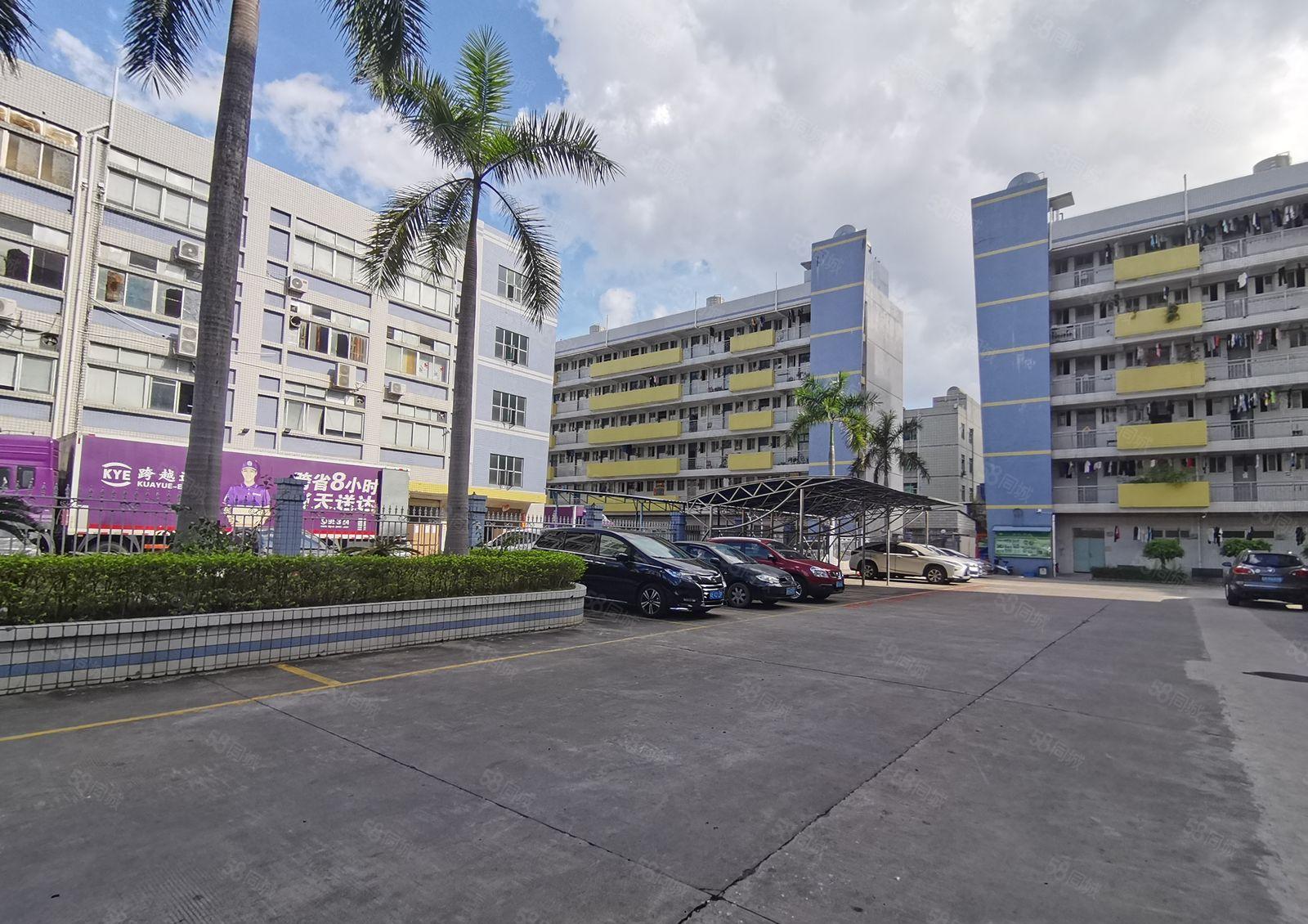 23元起租白坭坑厂房仓库出租层高5米易招工空地大