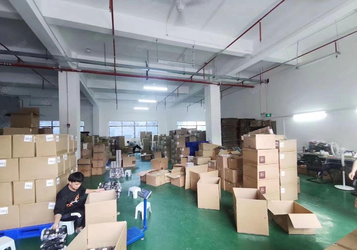 龙东新出 楼上带电梯装修 400平米出租