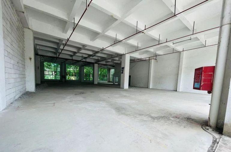 横岗荷坳独门独院直租原房东8000平空地