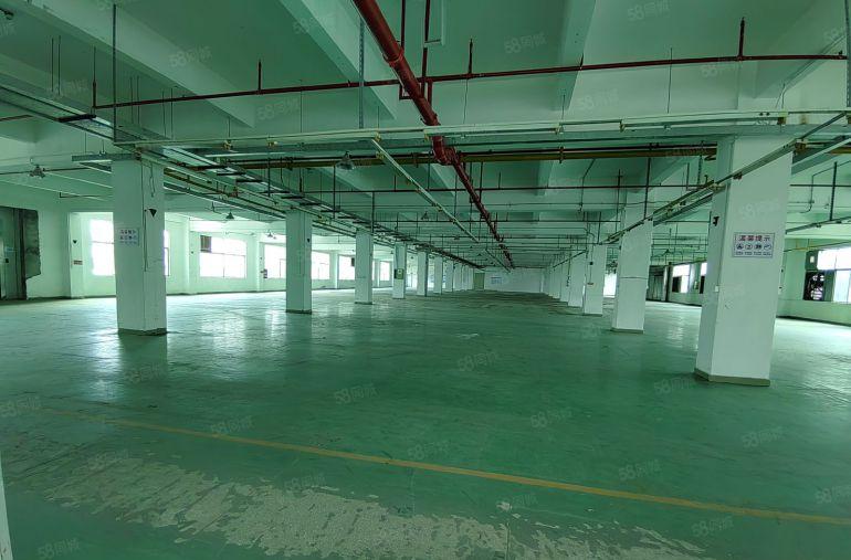 租12元，龙岗宝龙原房东楼上厂房单层面积3000平方低价出租