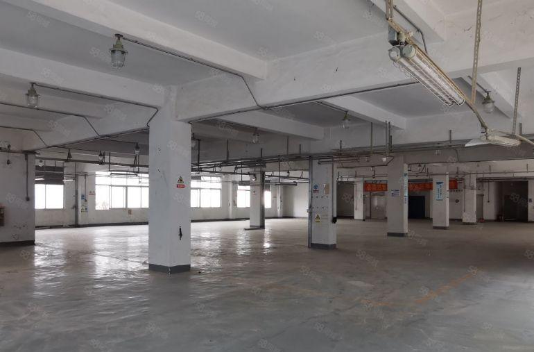 坂田 杨美地铁口 独院厂房6500平 宿舍60间厂房出租