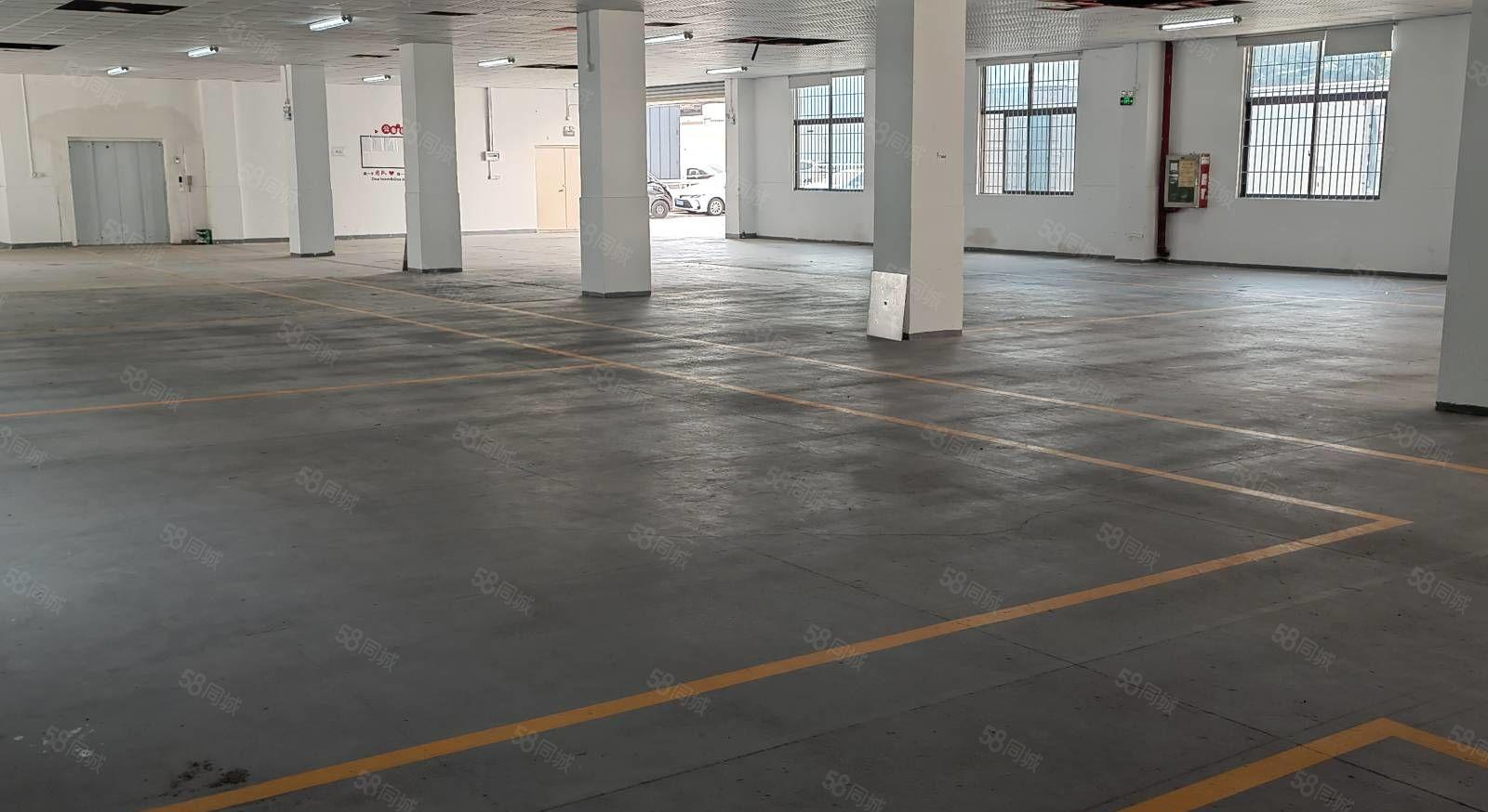 龙岗平湖华南城高新技术产业园精装修1000至4650厂房出租