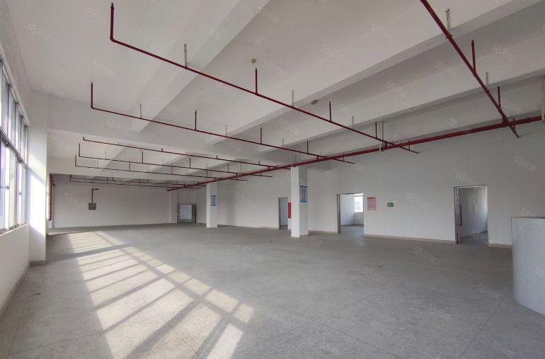 坂田地铁口独院厂房出租一楼1000平，可加工生产仓库