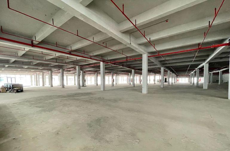 横岗原房东厂房1000平 珠宝产业园全新特价出租