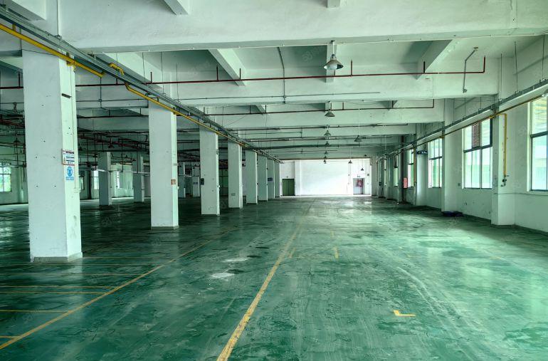 横岗塘坑地铁口大型电商园一楼1000平方厂房仓库岀租大小可分
