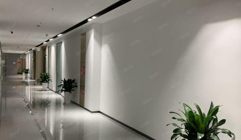 特价35块！岗头300平全新精装修办公厂房出租50平起分