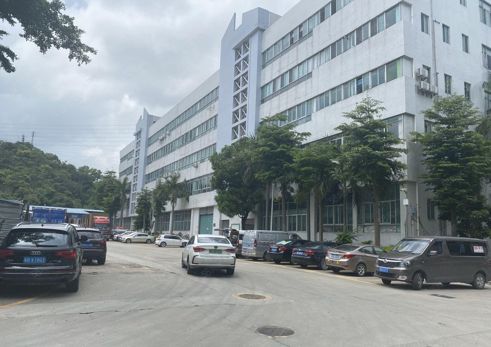 横岗四联工业园1万平厂房出租300平分租精装修珠宝可办环评