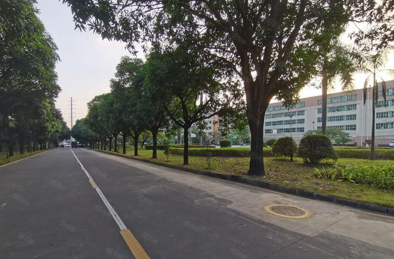 独门独院！平湖原房东6000平实际面积出租！200平起分