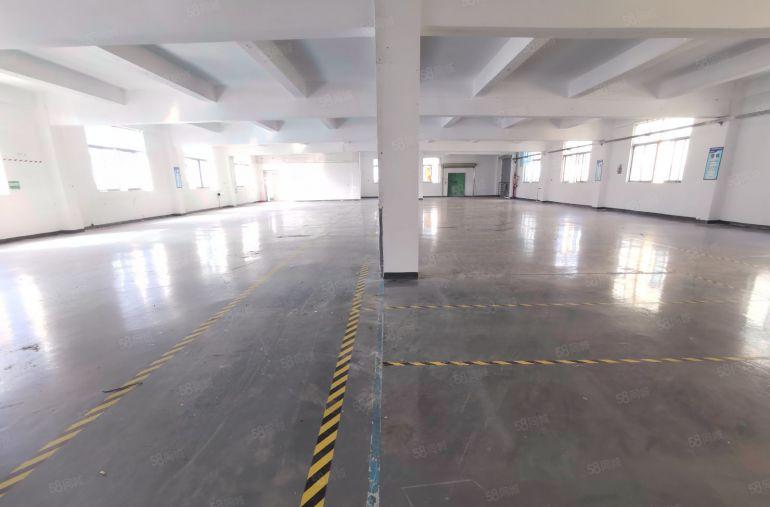 龙岗宝龙厂房出租500平起精装修独门独院工业仓库一楼出租