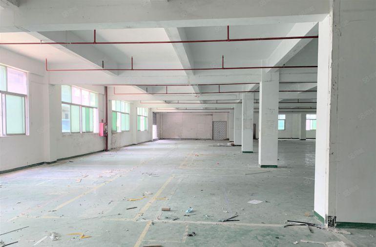 平湖禾花工业园独栋厂房9600平厂房仓库出租可分租水电齐全