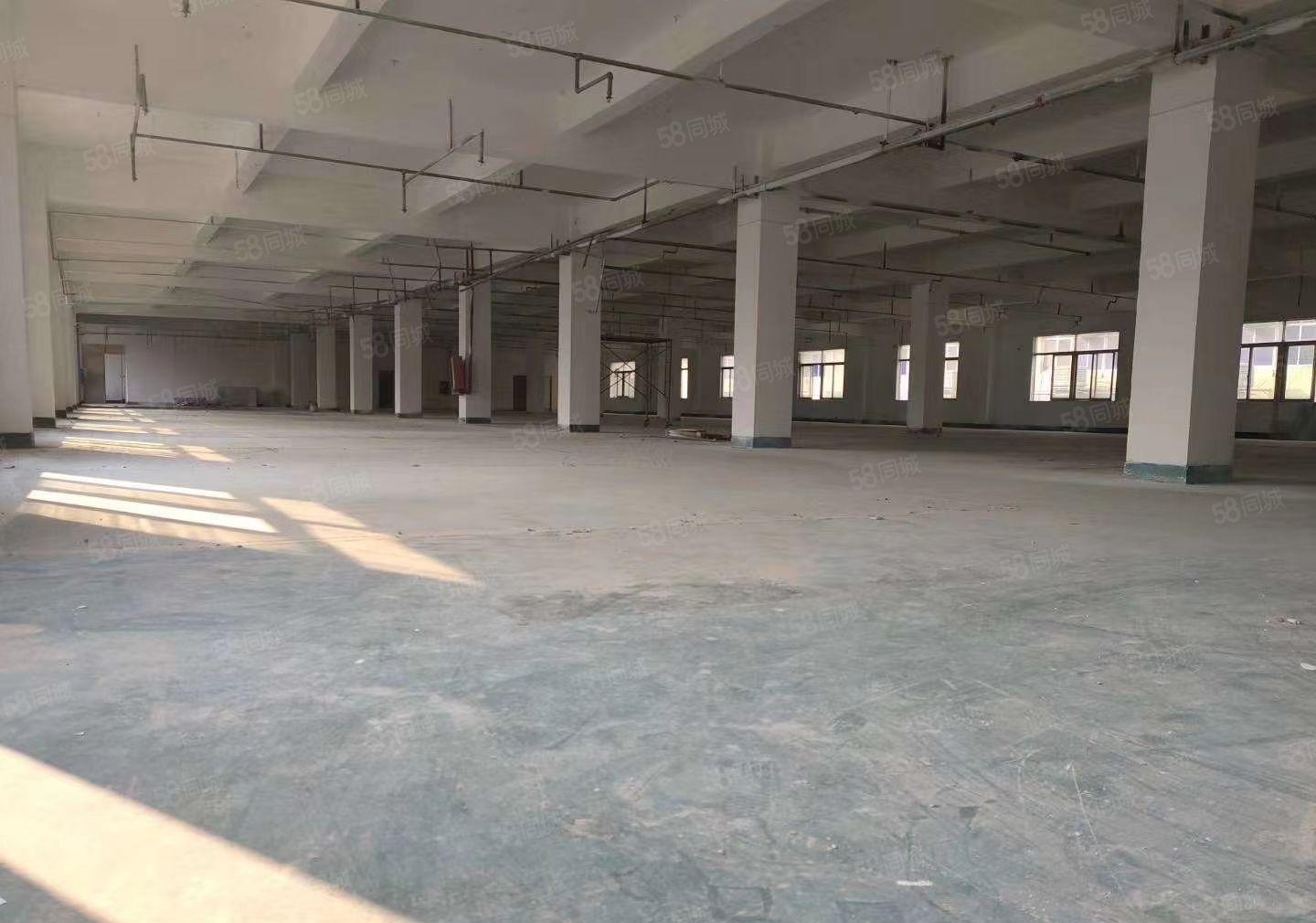 龙岗镇龙东厂房一楼2200平方米4楼1500平方米可分租