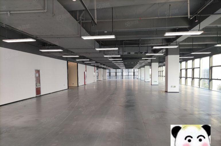 （出租）龙岗坂田电商产业园高端园区800平精装修可分超低价