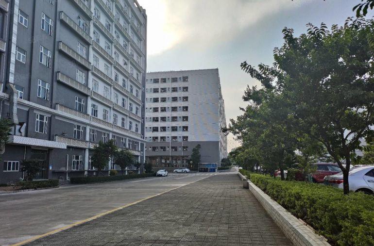 坂田工业园精装修500平仓库低价精选厂房出租一楼适合电子电商