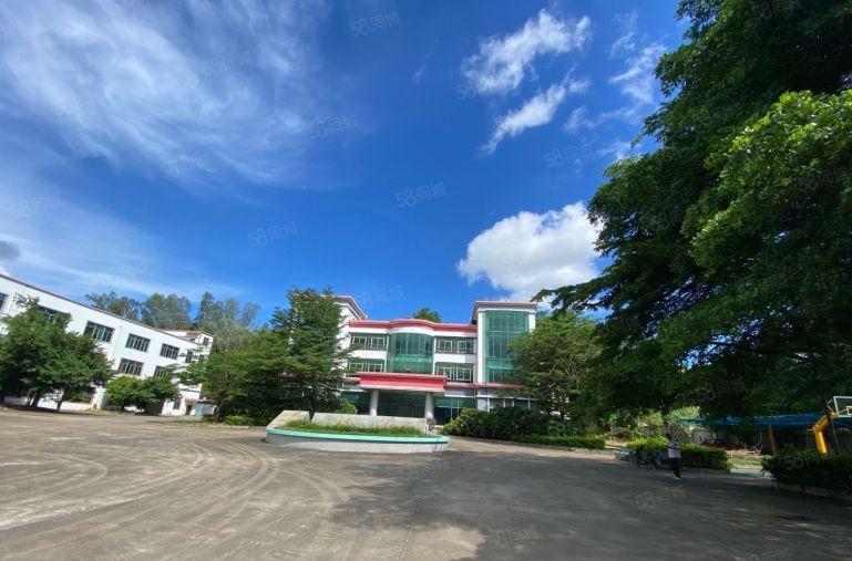 龙岗宝龙独门独院原房东红本面积16500平精装修办公厂房出租