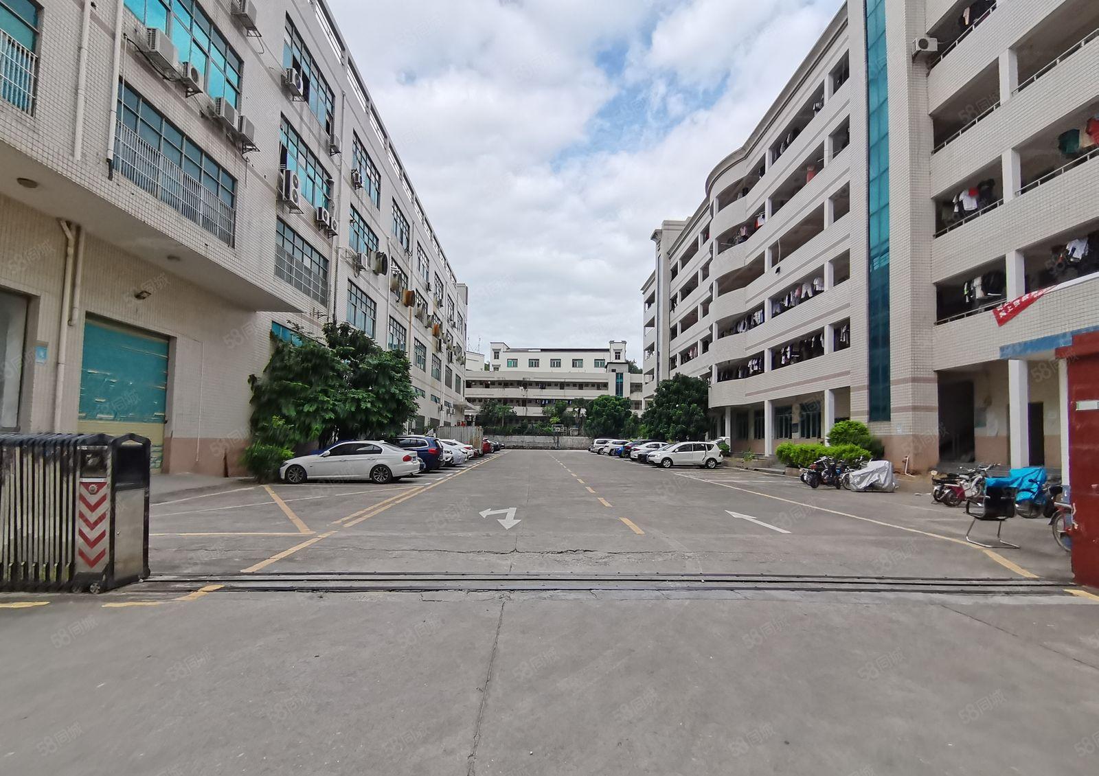 平湖富民工业区5000平独门独院厂房出租带超大空地交通便利