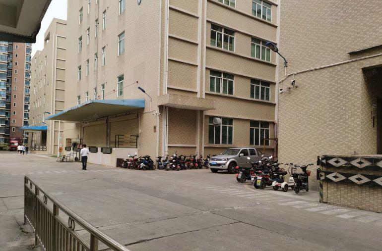 横岗嶂背工业园区一楼300平米出租