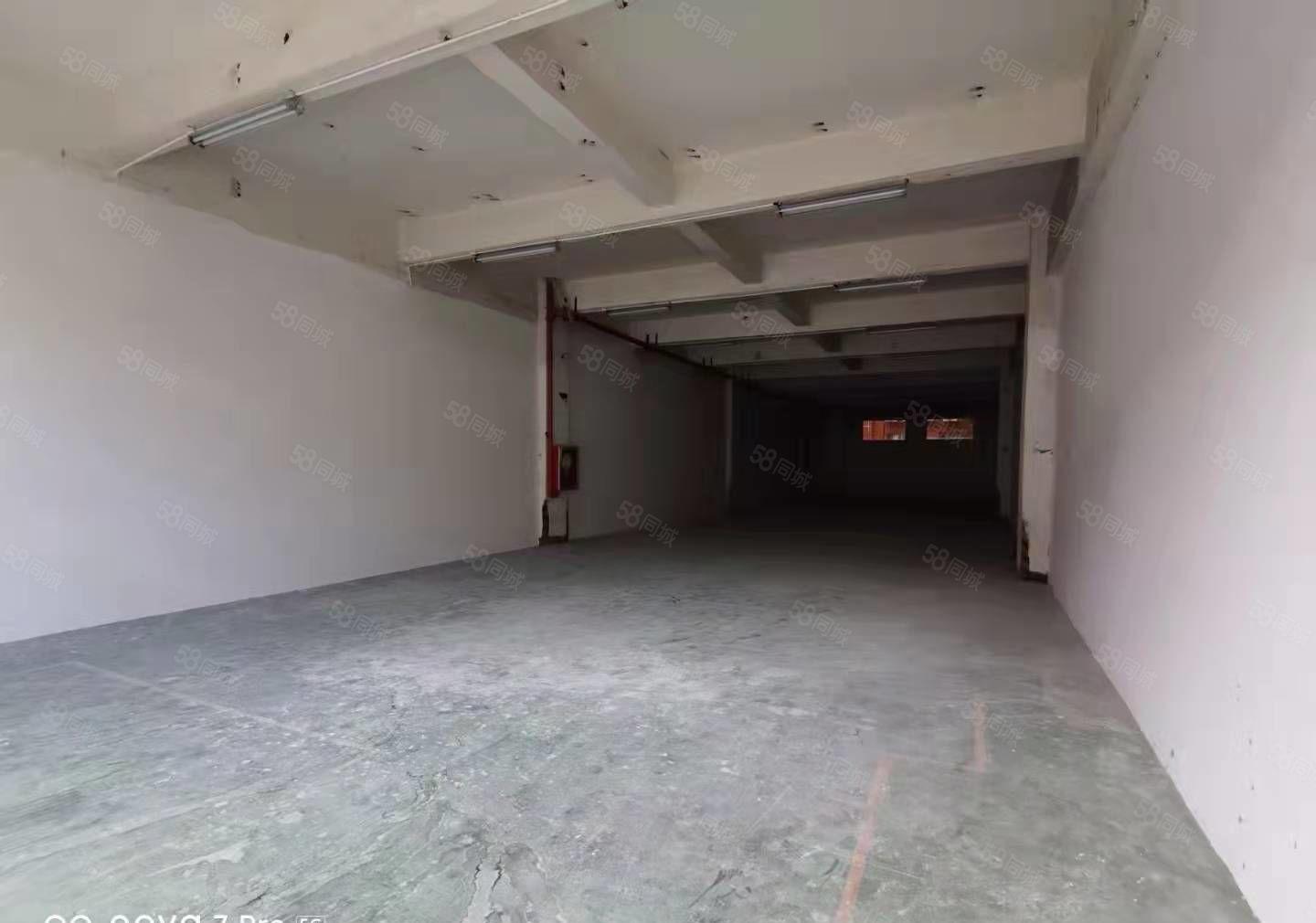 红本！坂田贝尔地铁站一楼650平方标准厂房出租