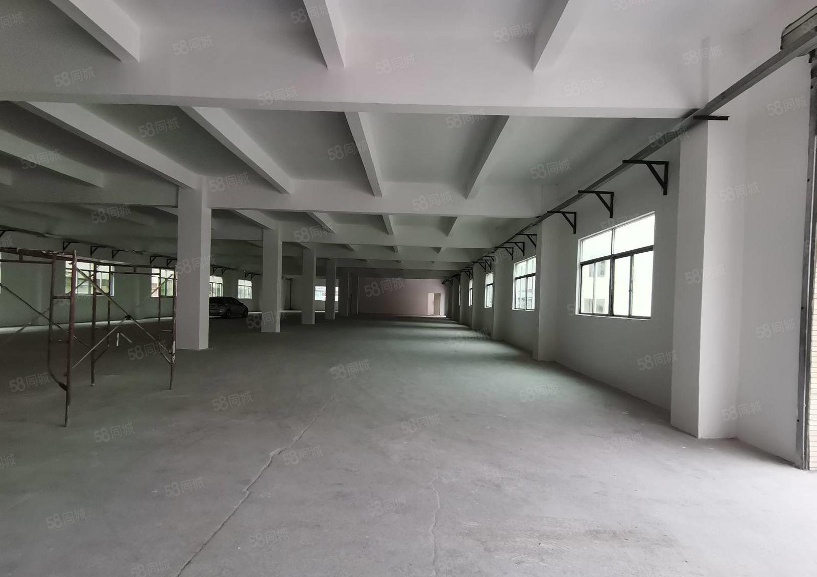 深圳市龙岗区同乐原房东独门独院厂房出租交通便利周边设施齐全