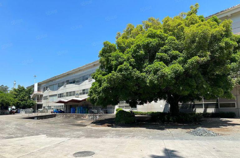 横岗独门独院厂房12万平