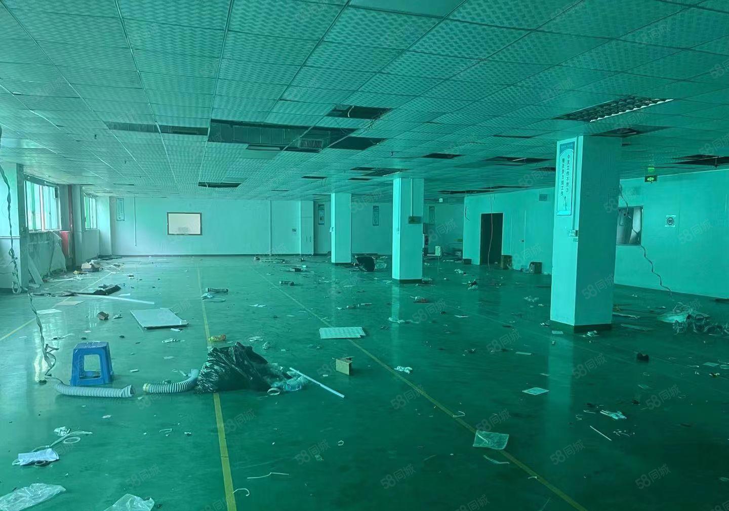 上雪科技园带装修188平500平800平电商仓库厂房低价出租