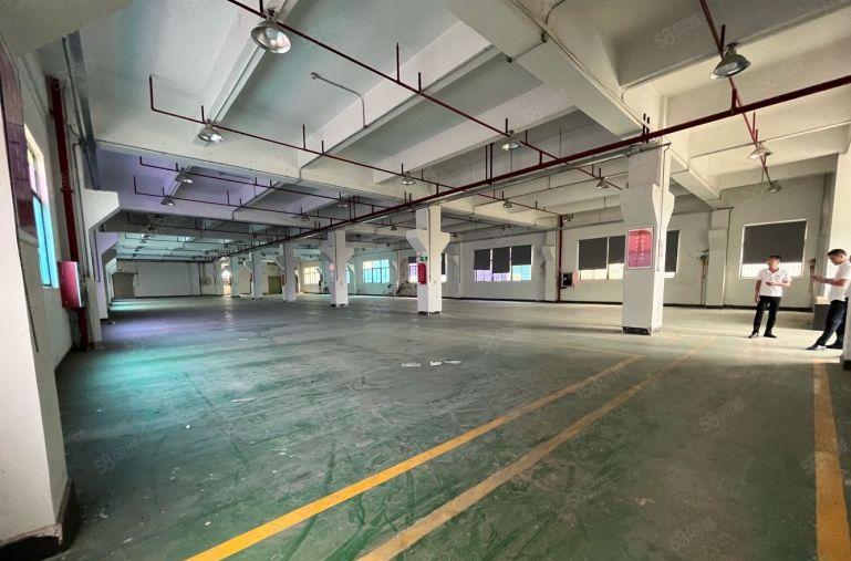 坂田上雪2楼实际面积出租1500平原房东带红本厂房出租