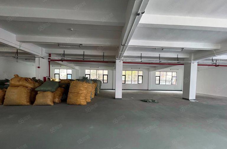 坂田布吉杨美地铁口一楼800平方厂房仓库出租可分租