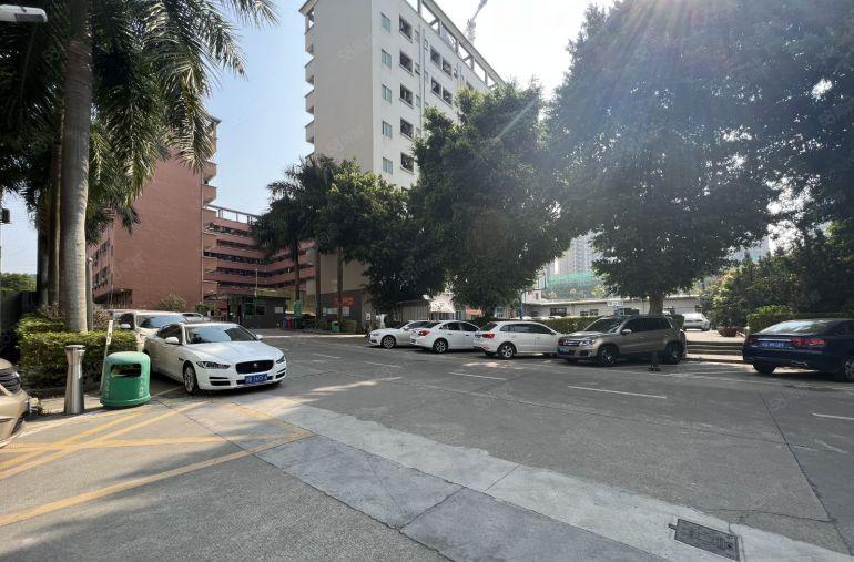 坂田新出1900平办公厂房仓库出租原房东直租8成以上使用