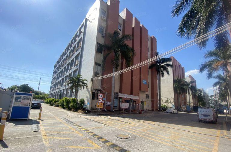 龙岗爱联地铁站新出3楼500平红本带装修办公仓库厂房出租