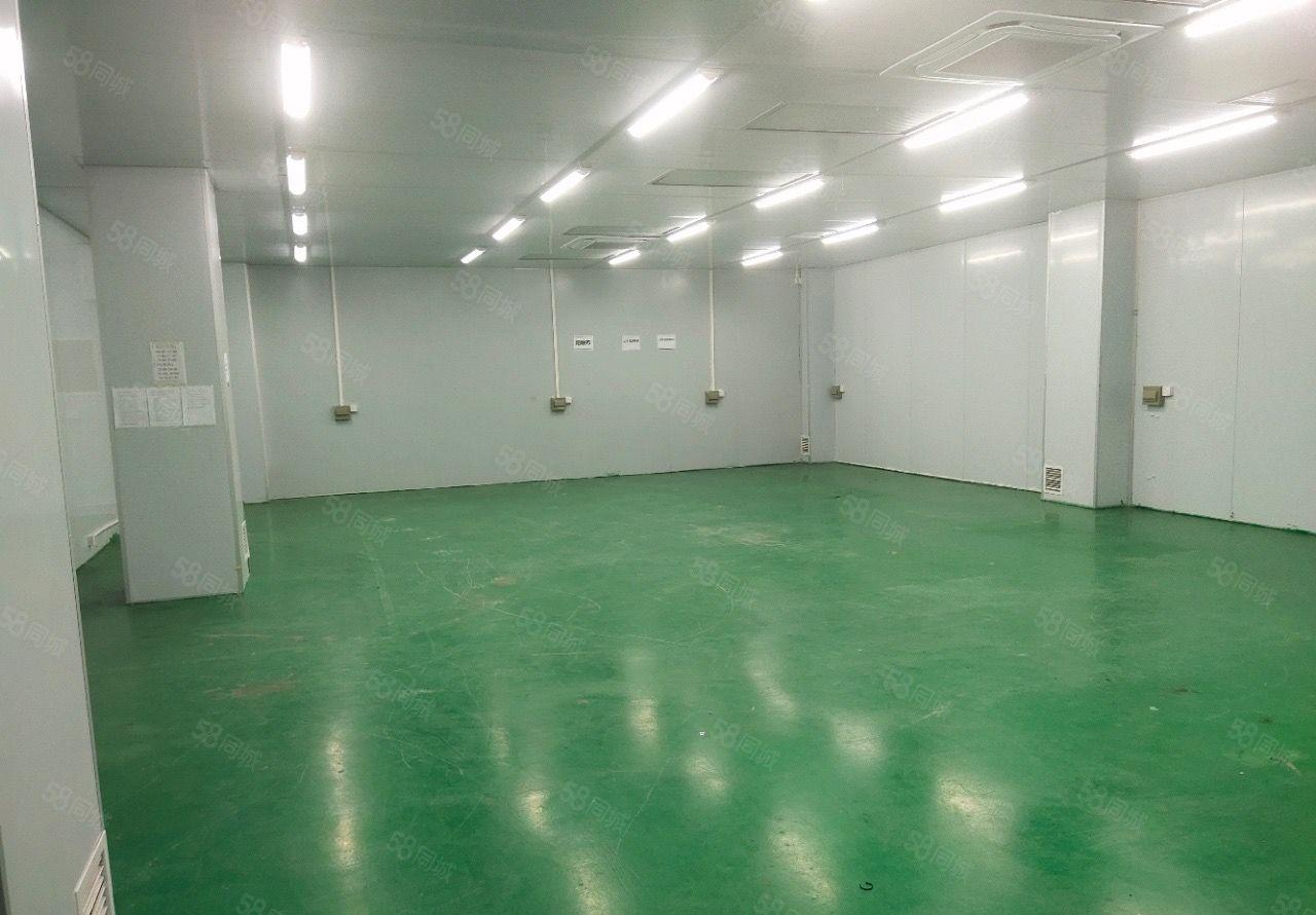 厂房出租真实图片爱联地铁站二楼无尘车间750平米