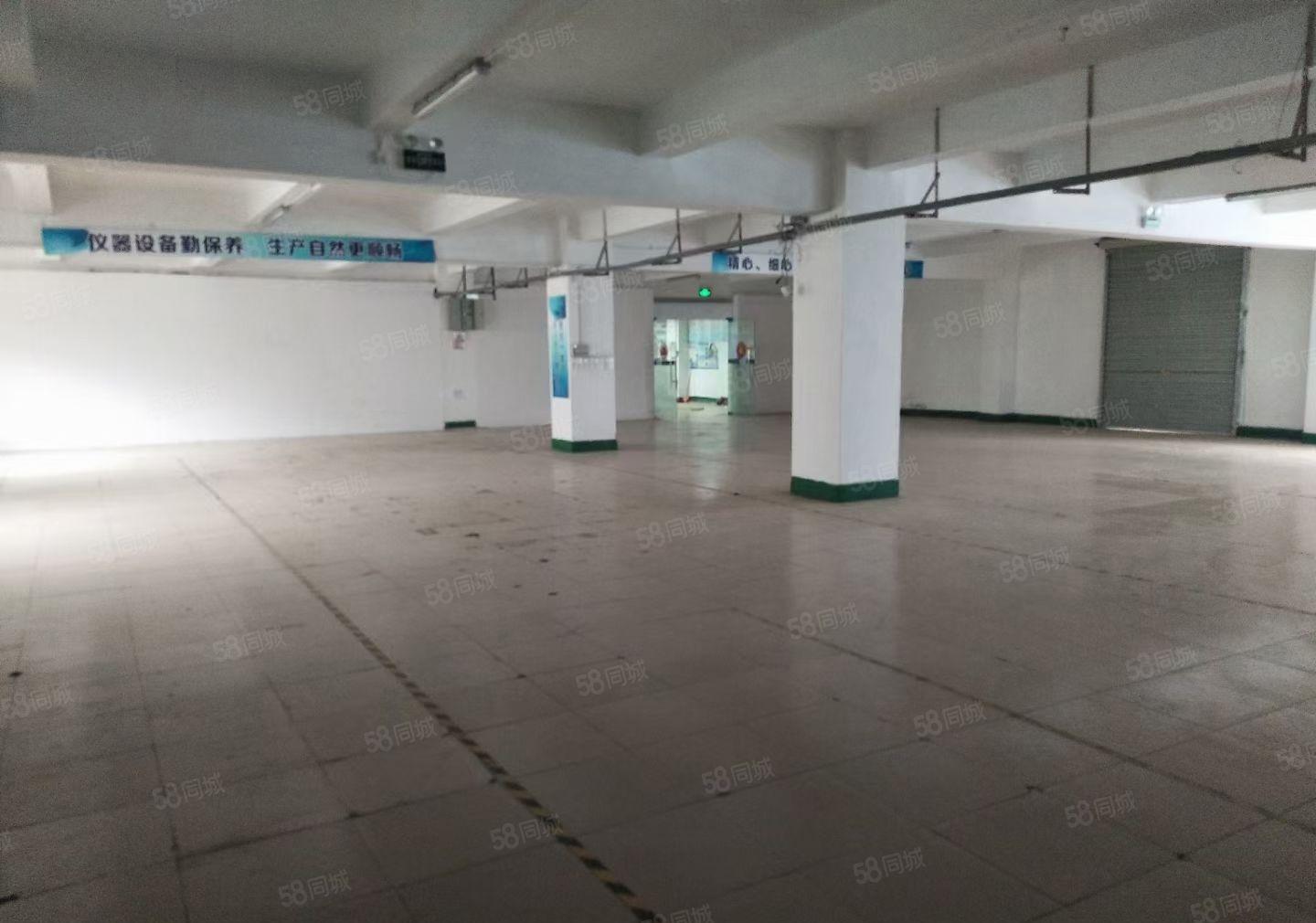 龙岗镇龙东红本二楼厂房1250平方米可分租现成水电有电梯