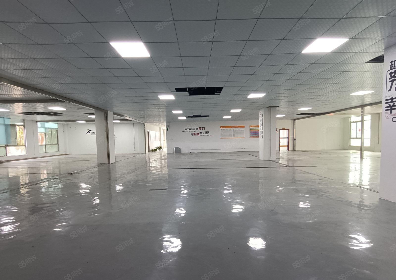 低价分租100平起电商园厂房2000平带装修一楼厂房仓库出租