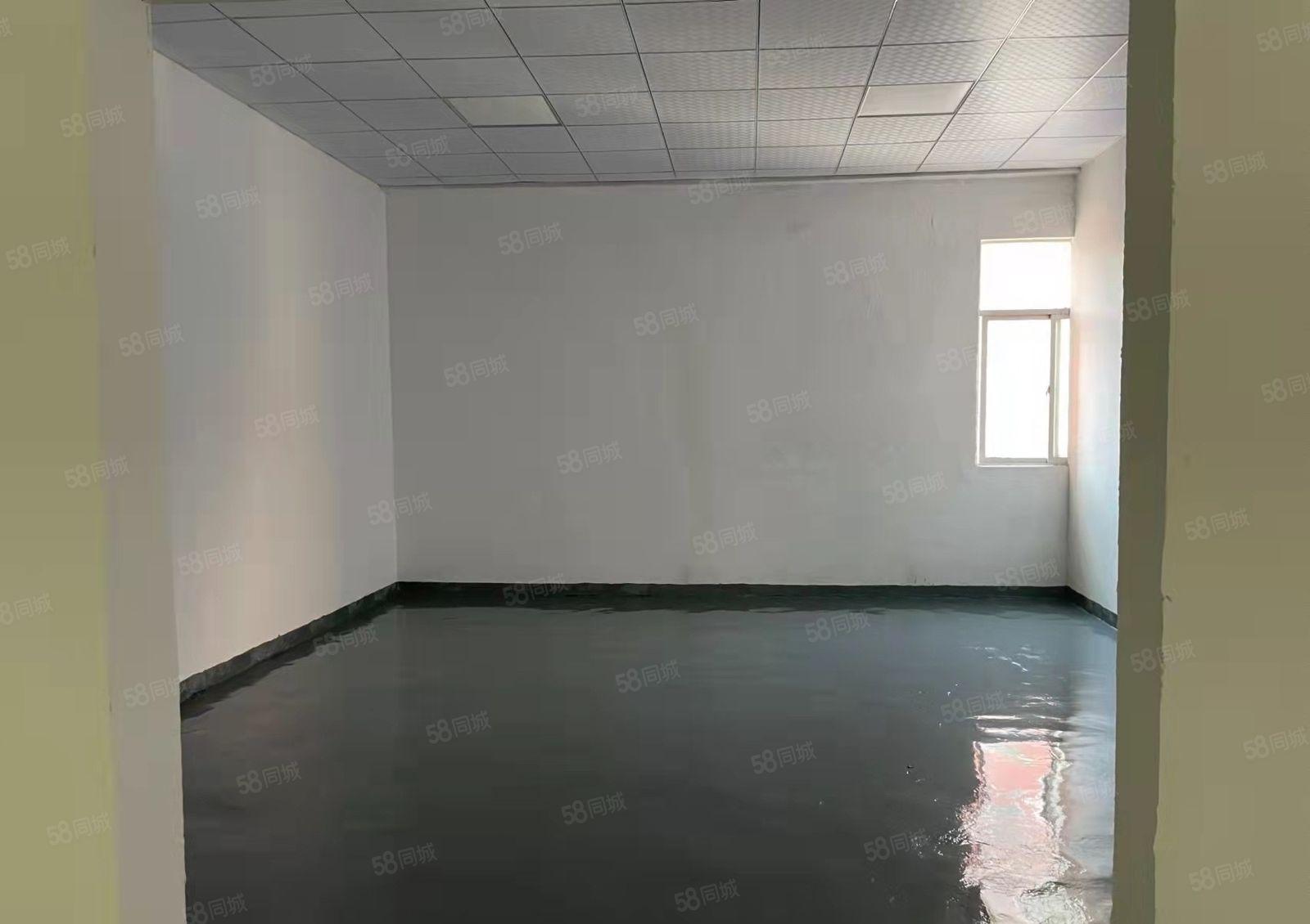 大康328工业区 2500平米 二楼全新装修