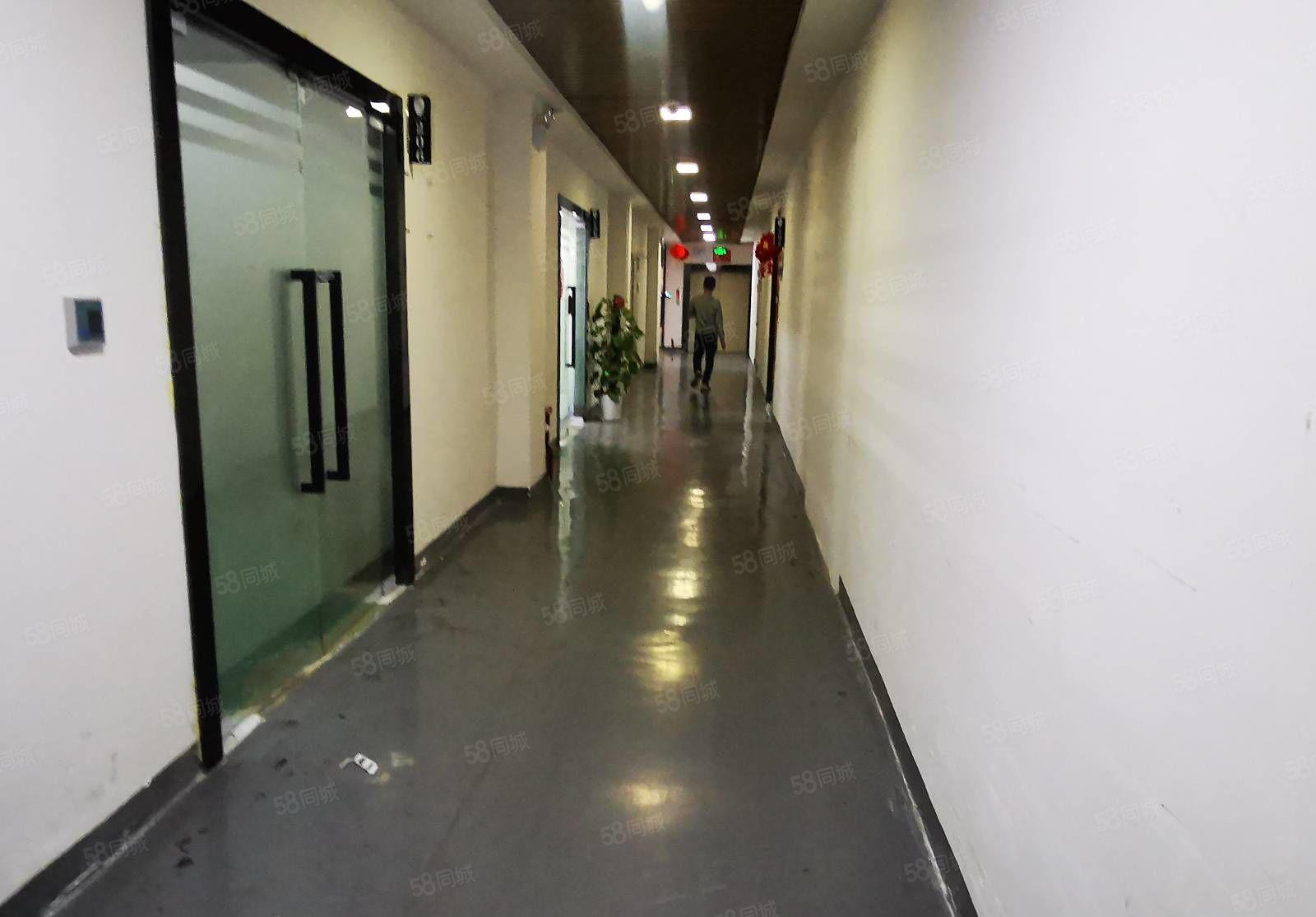 坂田雪象工业园厂房仓库单层2600平米大小分租出租