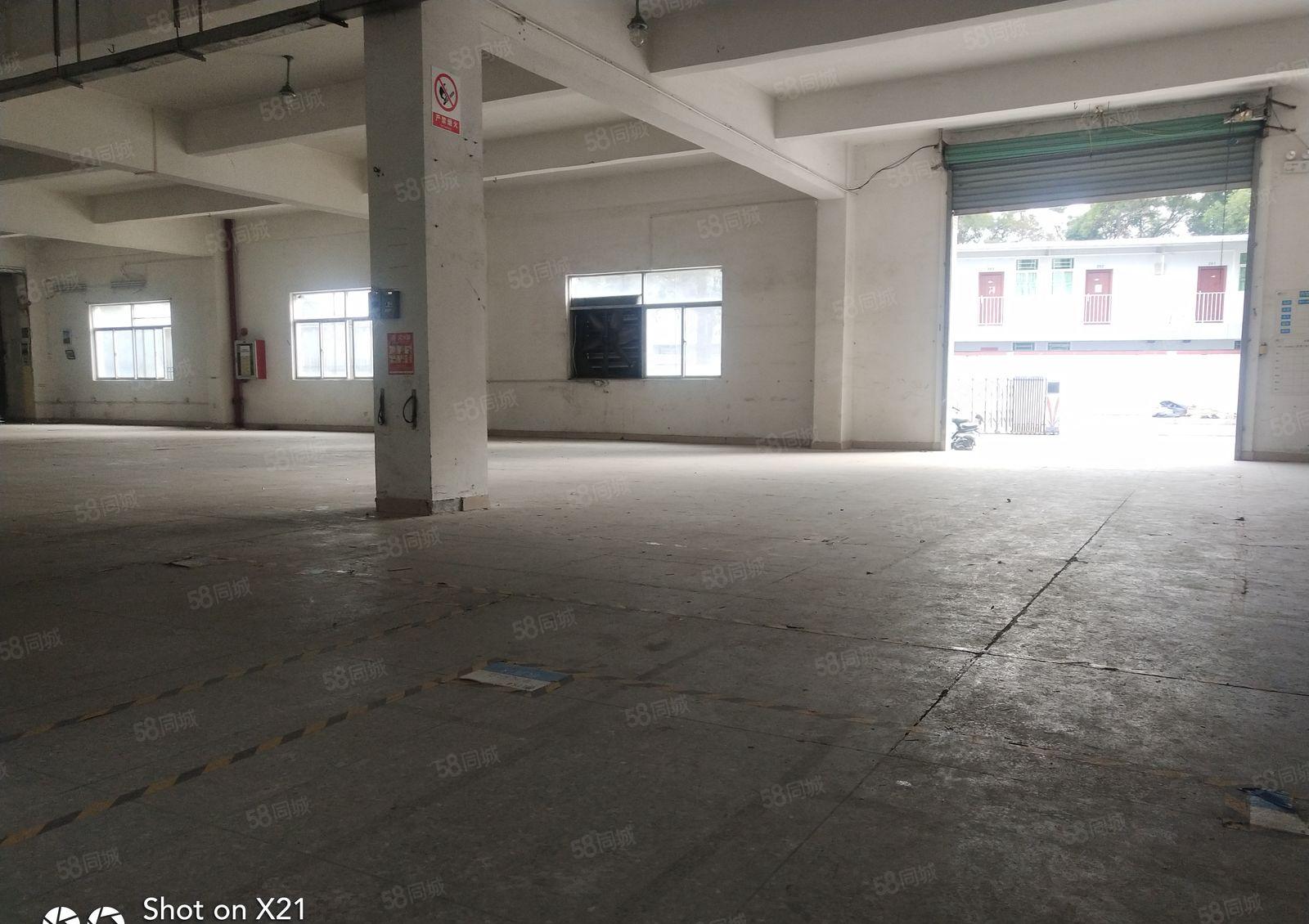 华南城附近独院厂房3300平米，一楼1100，可分600