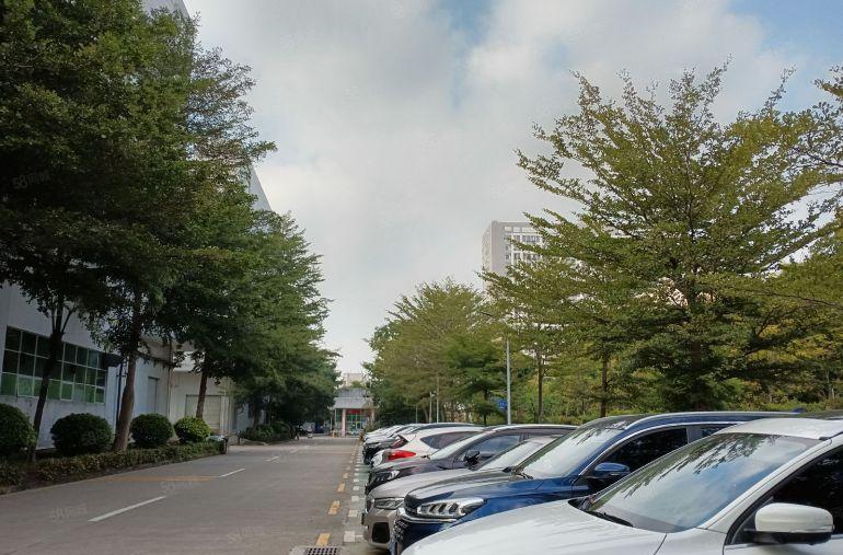 龙岗宝龙原房东科技园楼上1000平方精装修办公室厂房仓库出租