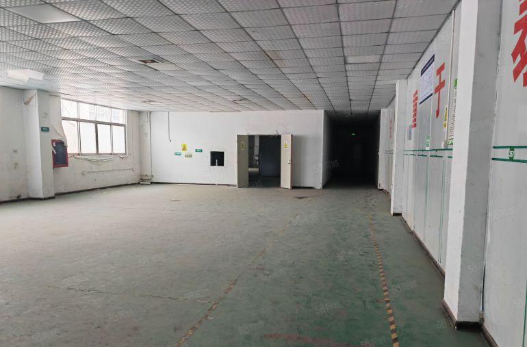 深圳龙岗区平湖白泥坑海吉星附近厂房出租二楼800平方有小冷库