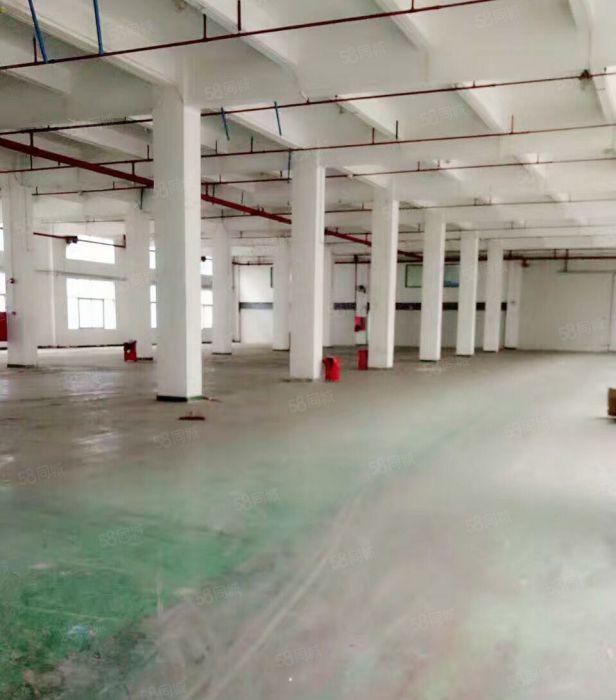 带卸货平台一二三楼仓库出租 龙岗宝龙坪山坪地厂房