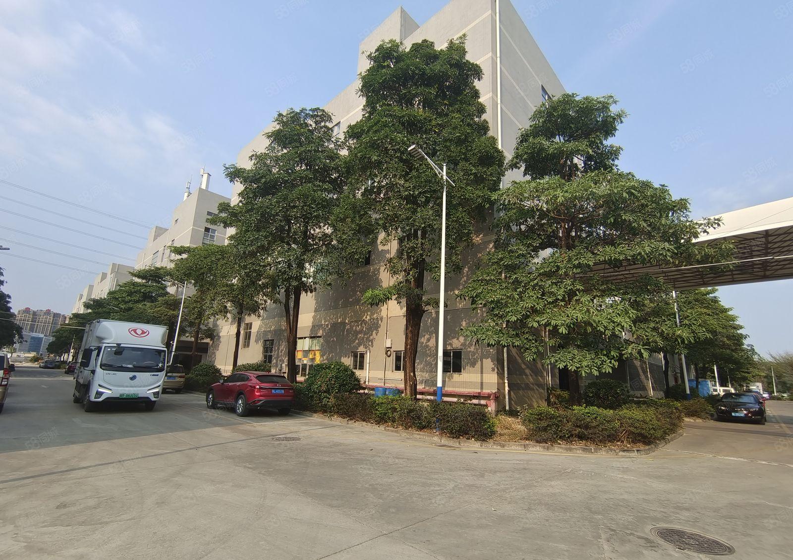 坪地外环高速旁原房东楼上2000平带精装修办公室仓库厂房出租