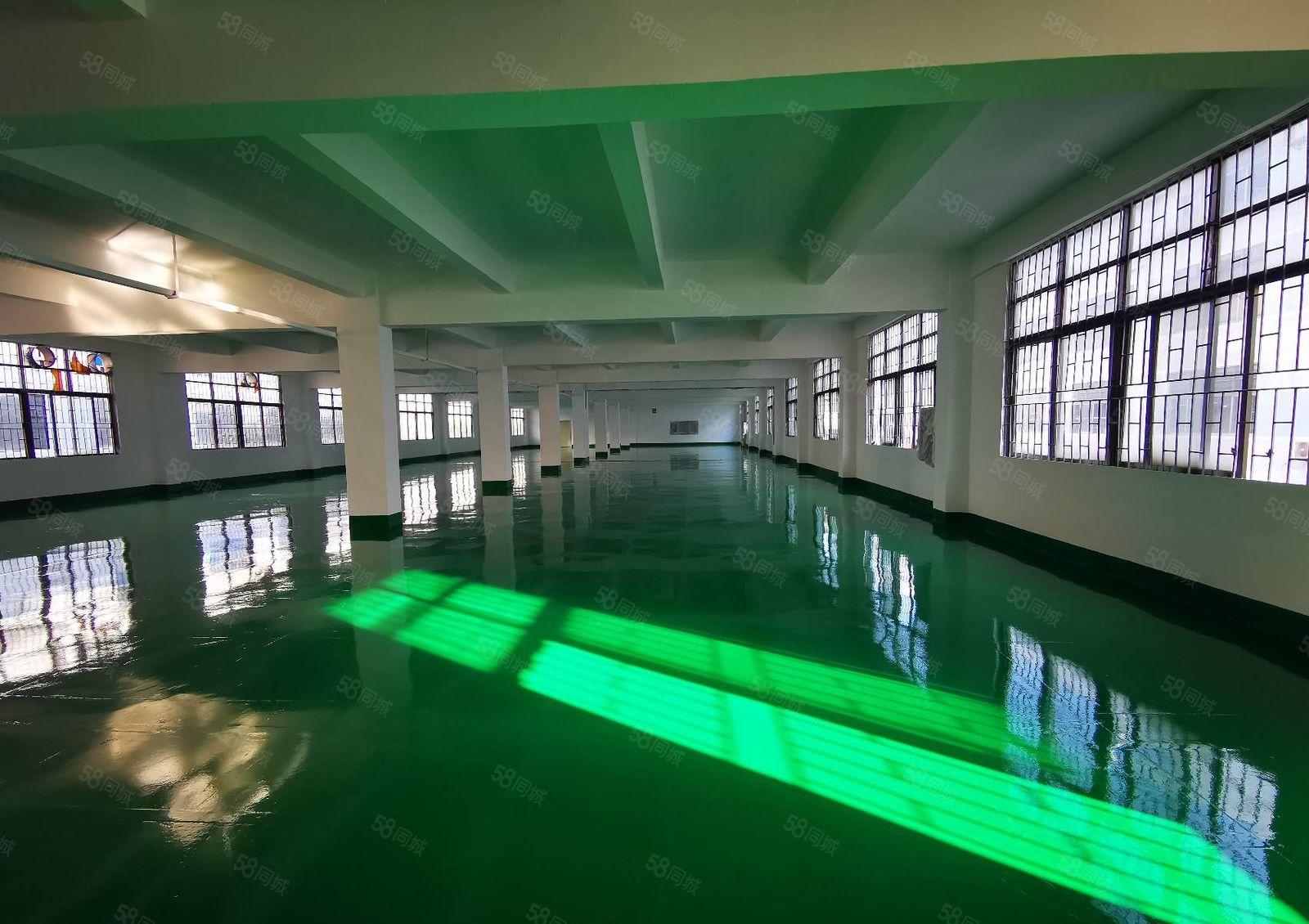 龙岗宝龙原房东红本9000平精装修独栋厂房出租，形象好空地大