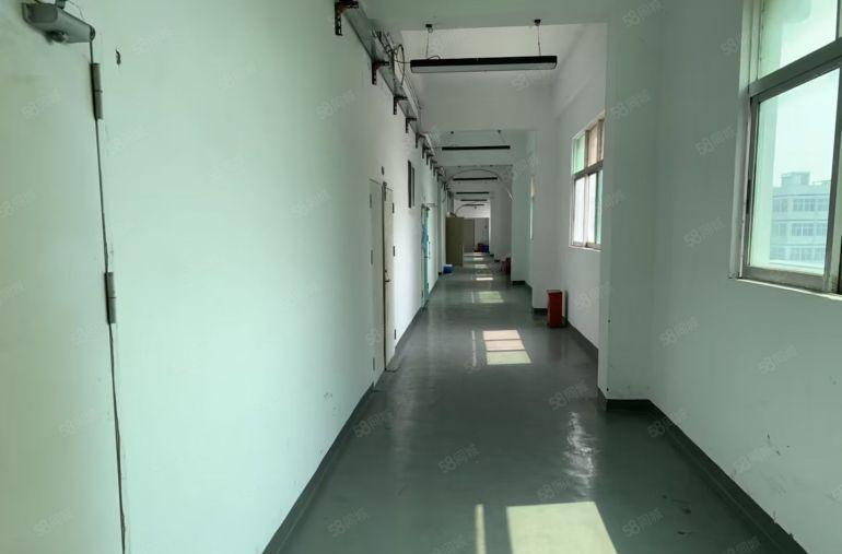 房东招租龙岗李朗100至800平送免租特价17元