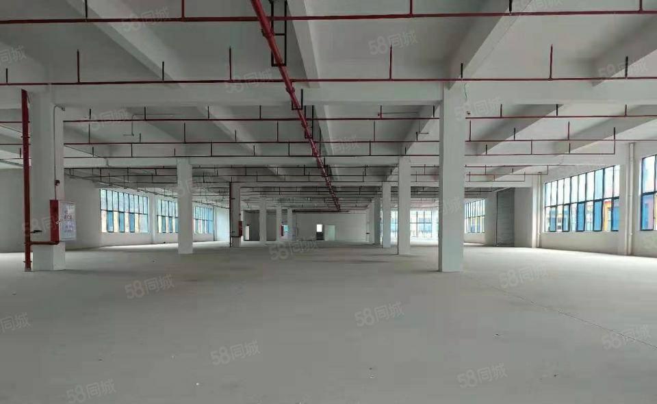 坪地楼上600平厂房招租电商小加工!原房东带装修!