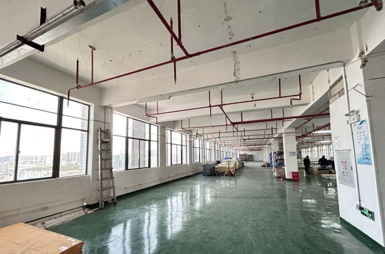 19元租龙岗爱联精装修带办公室仓库厂房出租300平起租