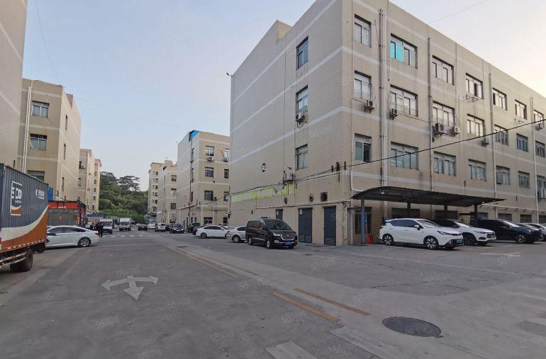 龙岗新出1000平至5000平一二楼厂房仓库出租独院大小分租