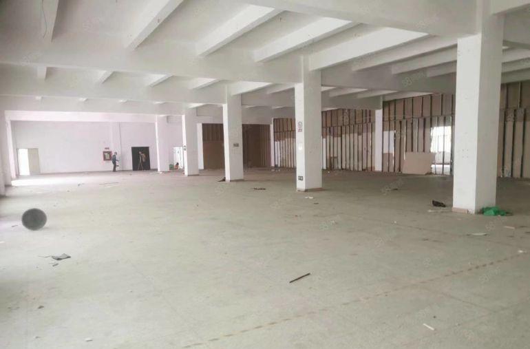 龙岗南联精装修500平米办公室厂房仓库出租有很大空地