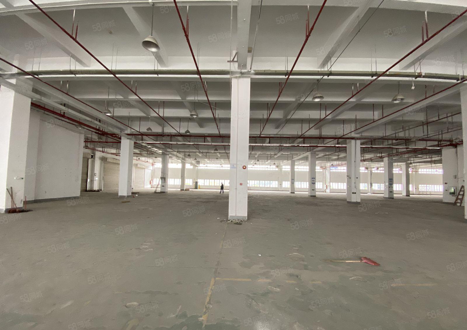 龙岗宝龙原房东独栋两层8000平仓库厂房出租，带卸货平台