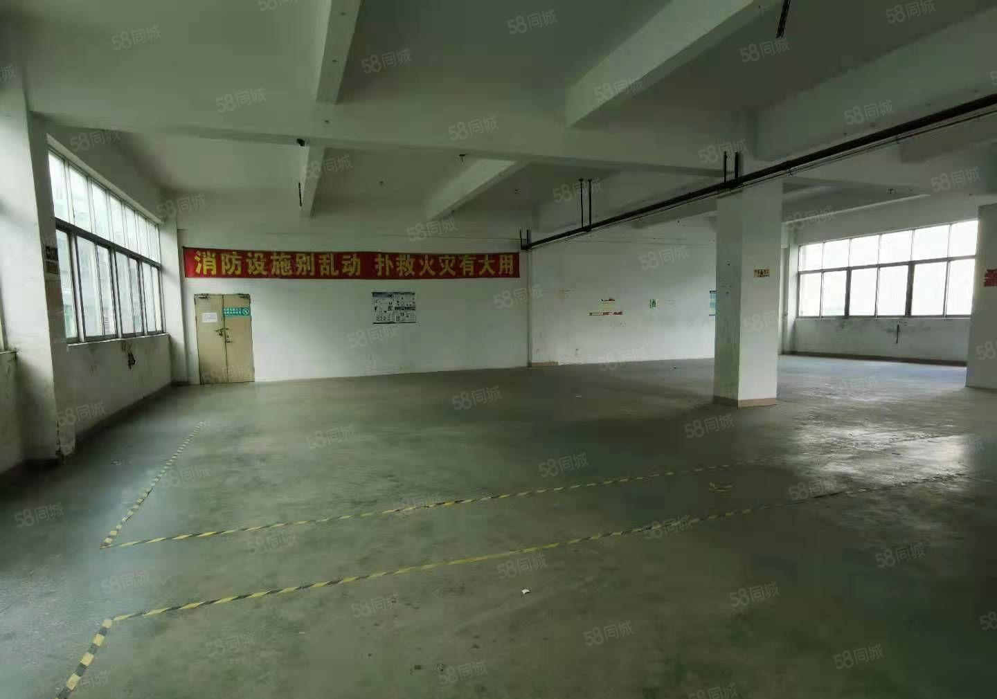 坪地500平米厂房出租形象好有电梯价格实惠