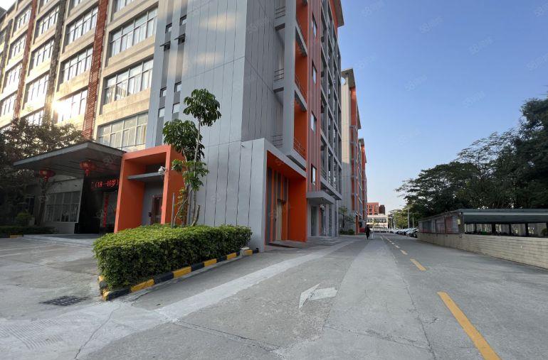 坂田布吉红本厂房全新园区新出3000平米带3台货梯低价出租