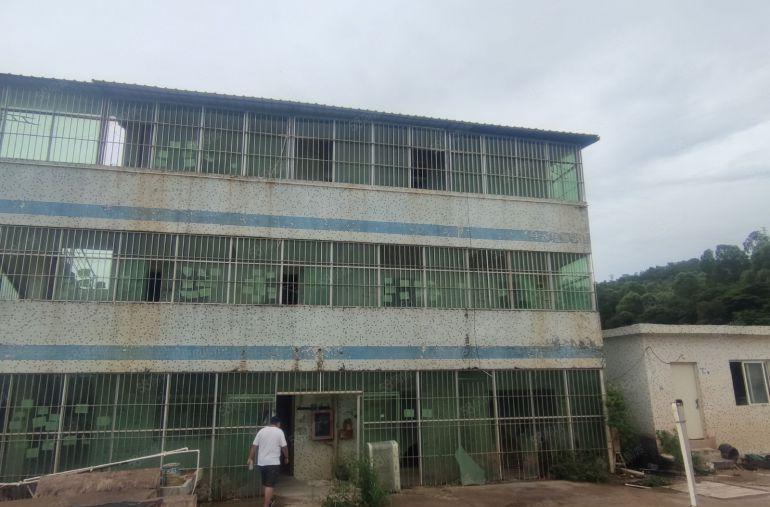 龙岗坪地低价3000平独门独院空地厂房汽车仓库出租转让可分租